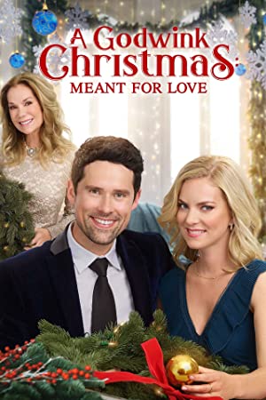 A Godwink Christmas: Meant for Love (2019