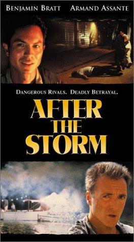 After the Storm (2019)