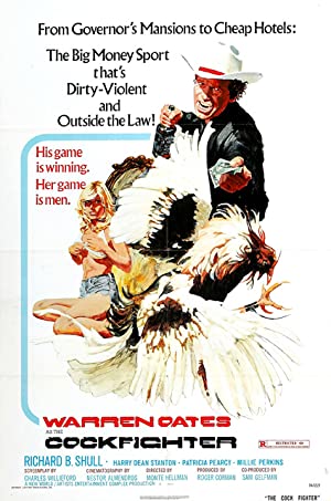 Cockfighter (1974)