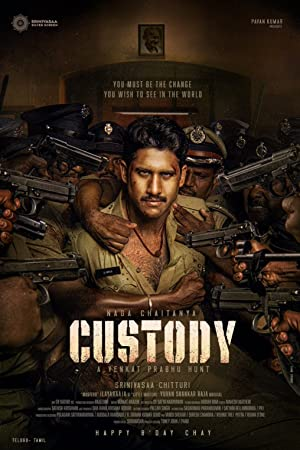 Custody (2016)