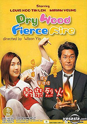 Dry Wood Fierce Fire (2002)