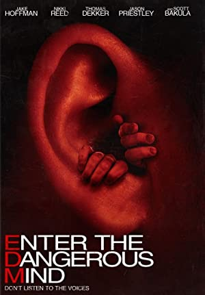 Enter the Dangerous Mind (2013)