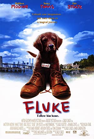 Fluke (1995)