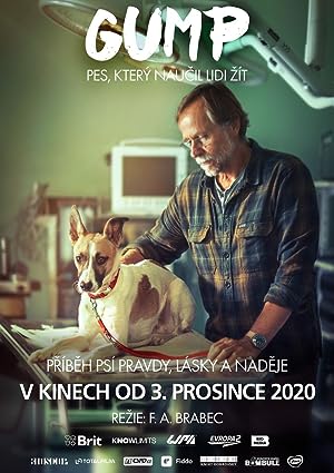 Gump - pes, kterÃ½ naucil lidi zÃ­t (2021) 