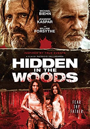 Hidden Kisses (2016)