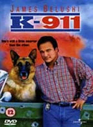  K-911 (1999) 