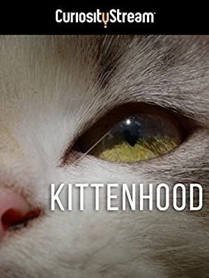 Kittenhood (2015) 