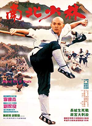 Martial Arts of Shaolin (1986)